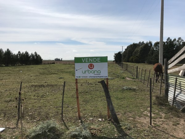 Lote Ruta 228 (Loma de Campano)