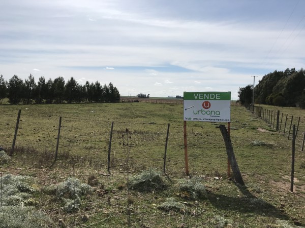 Lote Ruta 228 (Loma de Campano)