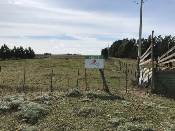 Lote Ruta 228 (Loma de Campano)