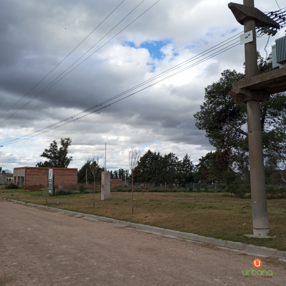 Lote Av Alem (512M2)