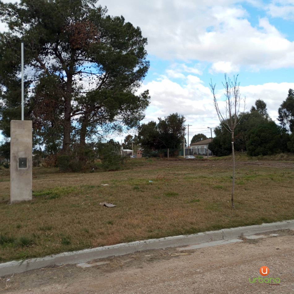 Lote Av Alem (512M2)